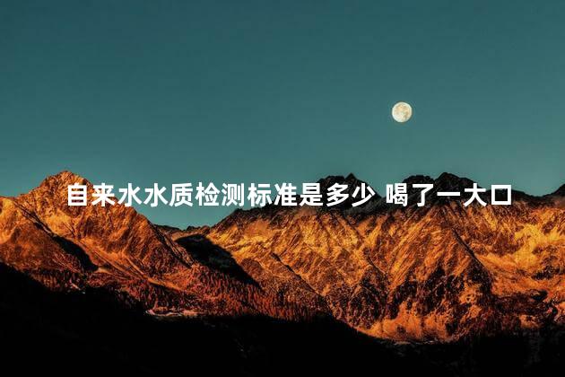 自来水水质检测标准是多少 喝了一大口自来水会死吗